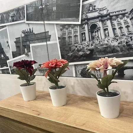 Appartamento Tuz Za Rogiem Zamku Malbork